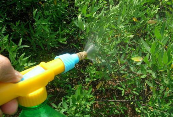 植物伴侣品牌来回农用喷雾器/家用/花园（TF-501）